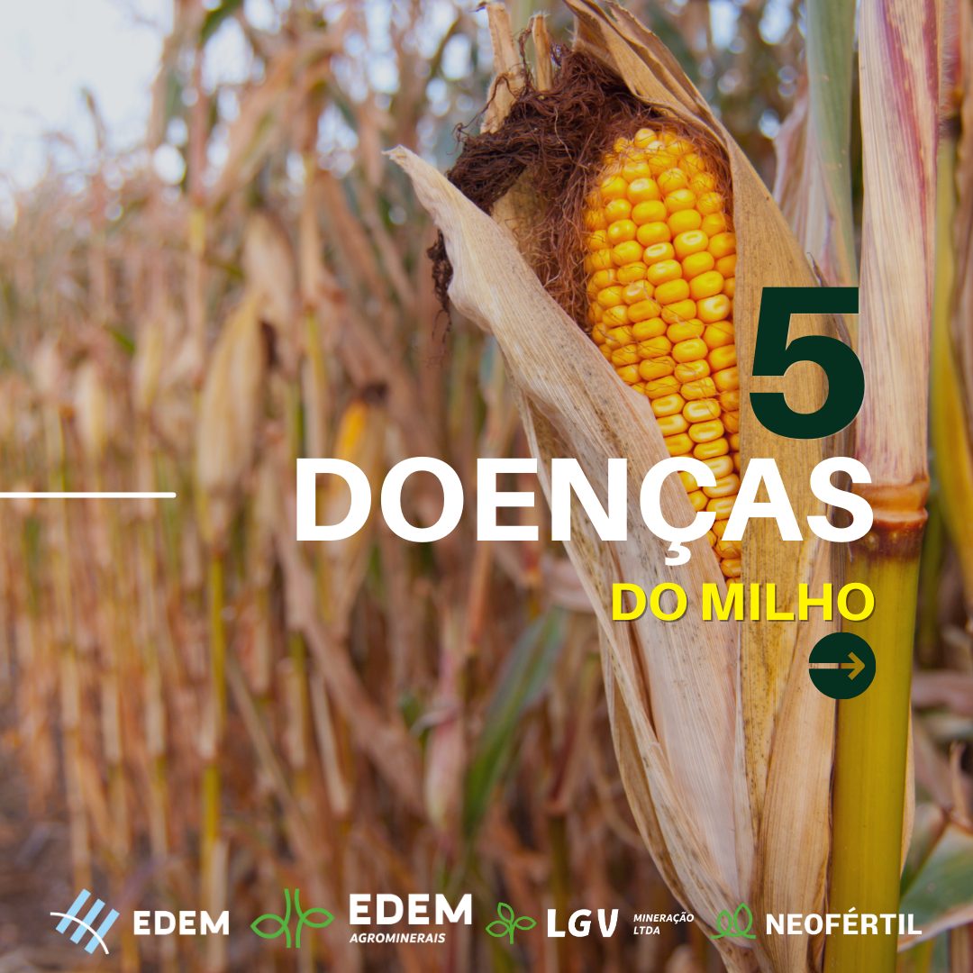 Blog - Edem Agrominerais