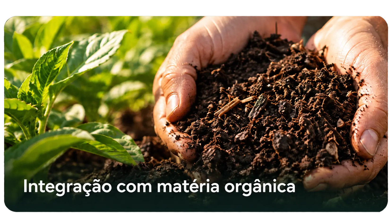 Origem mineral natural
